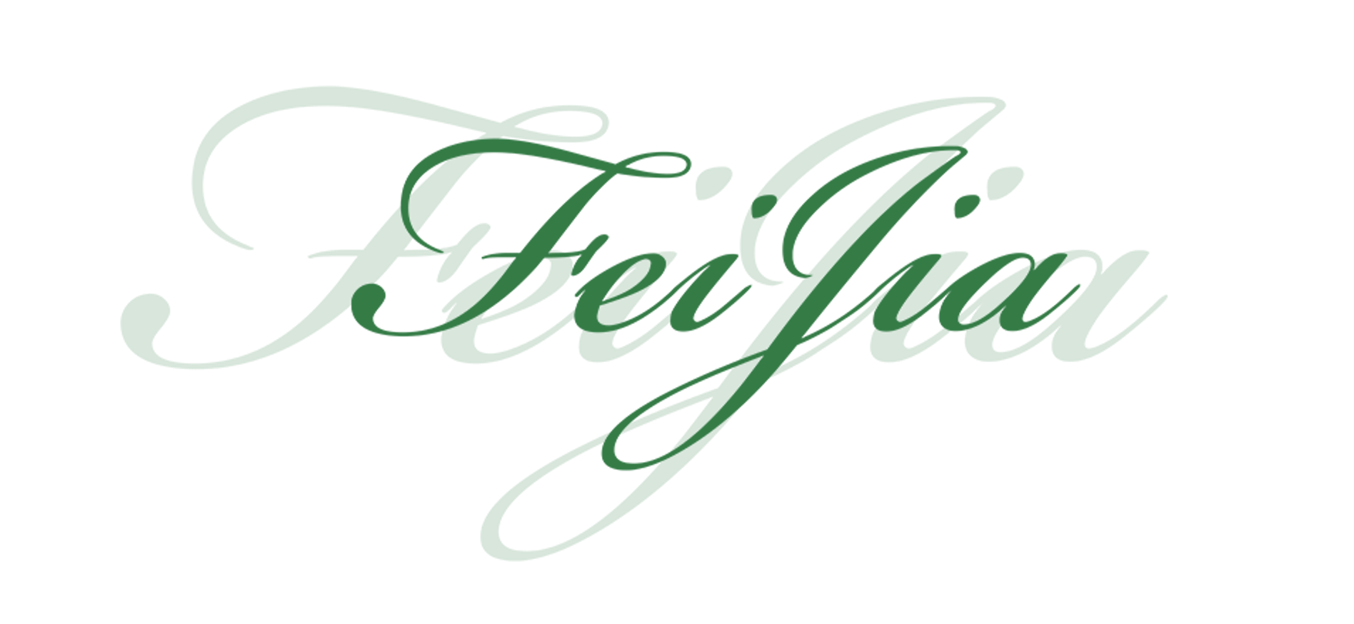 FEIJIA official logo